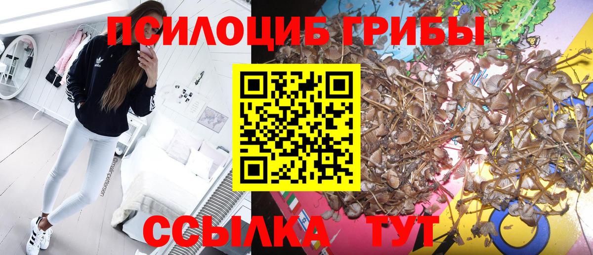 Анапа  Псилоцибиновые грибы Cubensis  Вход с VPN  Псилоцибиновые грибы MAGIC MUSHROOMS 