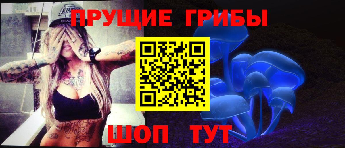 Псилоцибиновые грибы Psilocybe Анапа